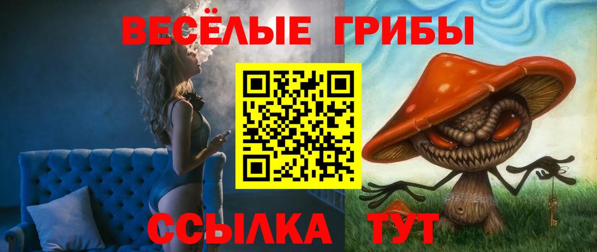 Галлюциногенные грибы ЛСД Кириши