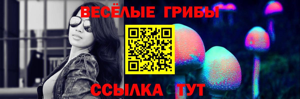 Кириши  Псилоцибиновые грибы мицелий  наркошоп  Вход с VPN 